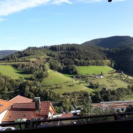 Ferienwohnung Panorama Bad Peterstal-Griesbach