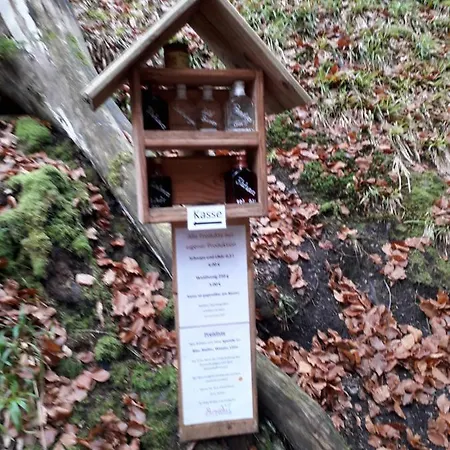 Ferienwohnung Panorama Apartment Bad Peterstal-Griesbach