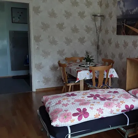 Ferienwohnung Panorama Bad Peterstal-Griesbach